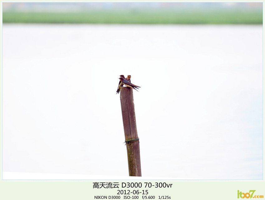 周末 草海 207_副本_副本_副本.jpg
