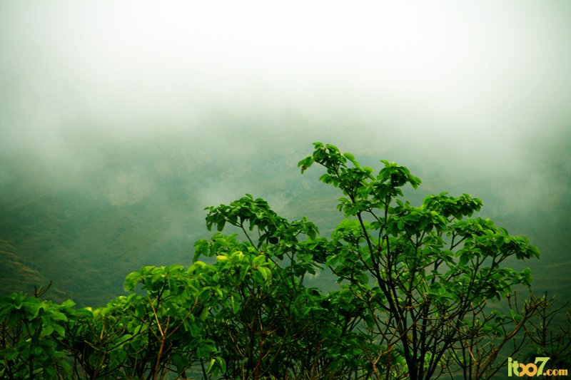 img_9872.jpg