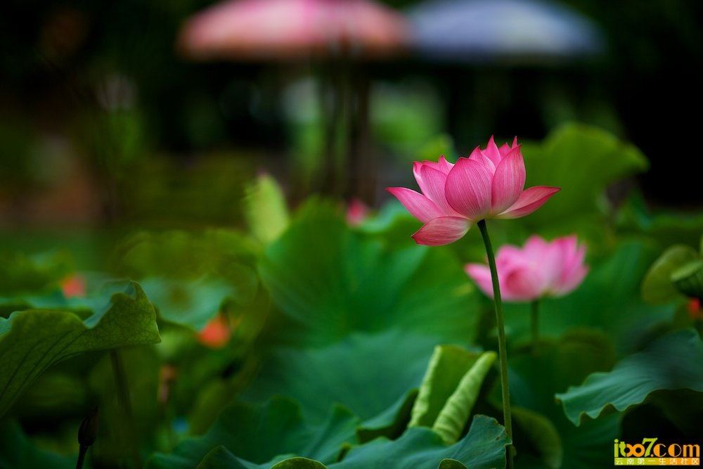 2012-06-23 11-55-03.jpg
