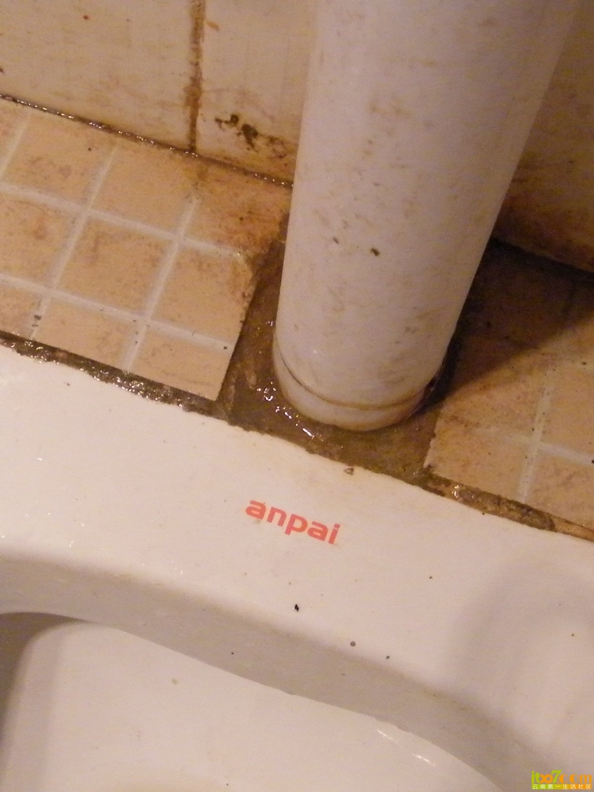 DSCF1053.JPG