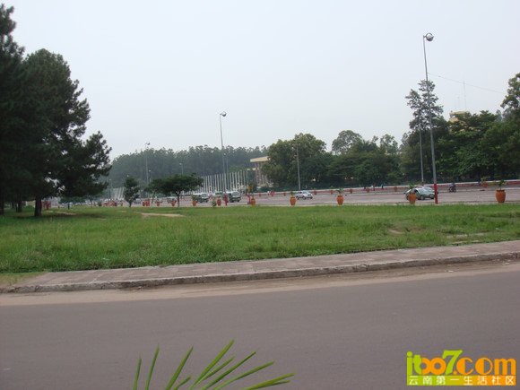 b_large_8yAr_6d9b000009ef1263.jpg