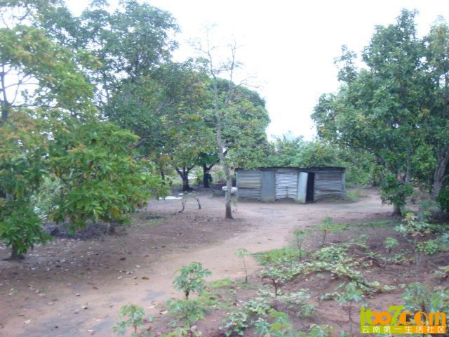 x_large_HOs2_4bfd000089cc1262.jpg