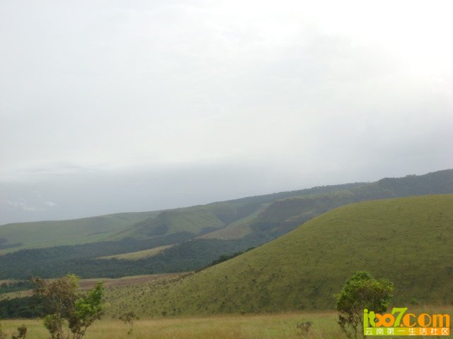 x_large_oSQu_730300000fce1261.jpg