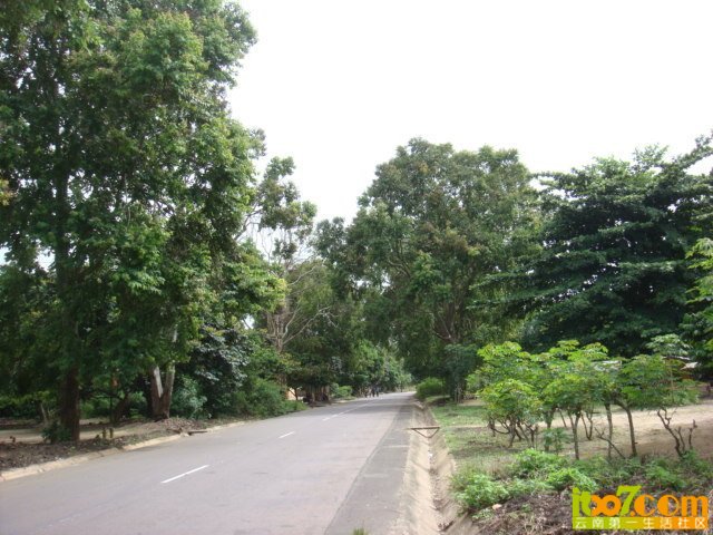 x_large_uqMh_730300000fcf1261.jpg