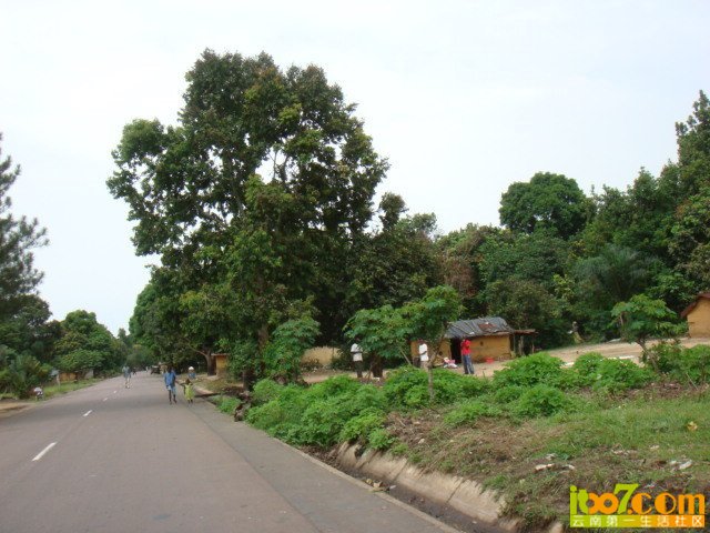 x_large_GDtM_214300002a361263.jpg