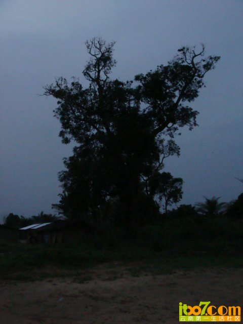 x_large_zFxf_311b000010981262.jpg