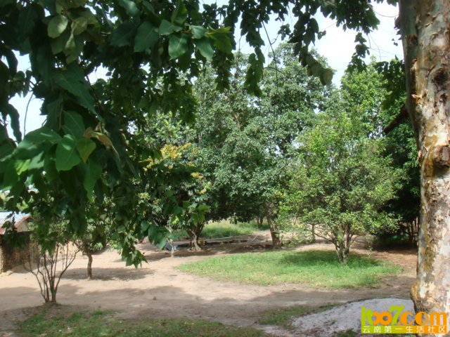 x_large_LpuK_311b000010991262.jpg