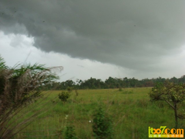 x_large_WdAb_4bfd00008ab41262.jpg
