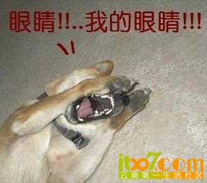 未命名.jpg