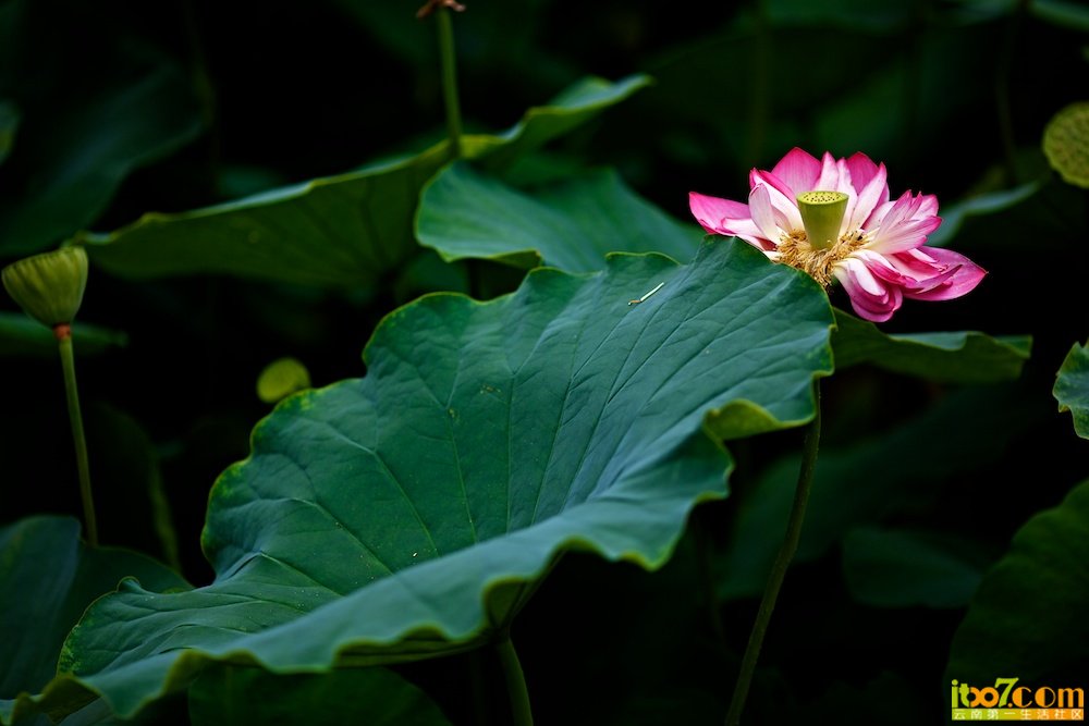2012-07-07 13-37-36.jpg