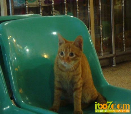 wKgByU-o5tfaaoRAAAClyTmkZzk88.groupinfo.w600[1].jpg