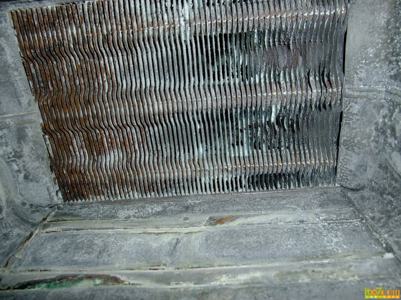 DSCF8134.JPG