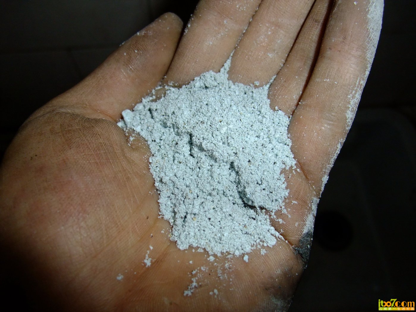 DSCF8141.JPG