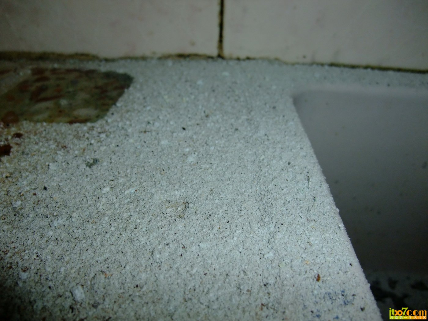 DSCF8137.JPG