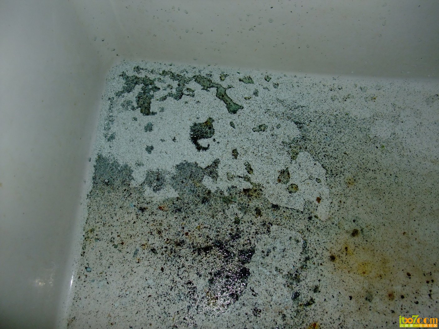 DSCF8138.JPG