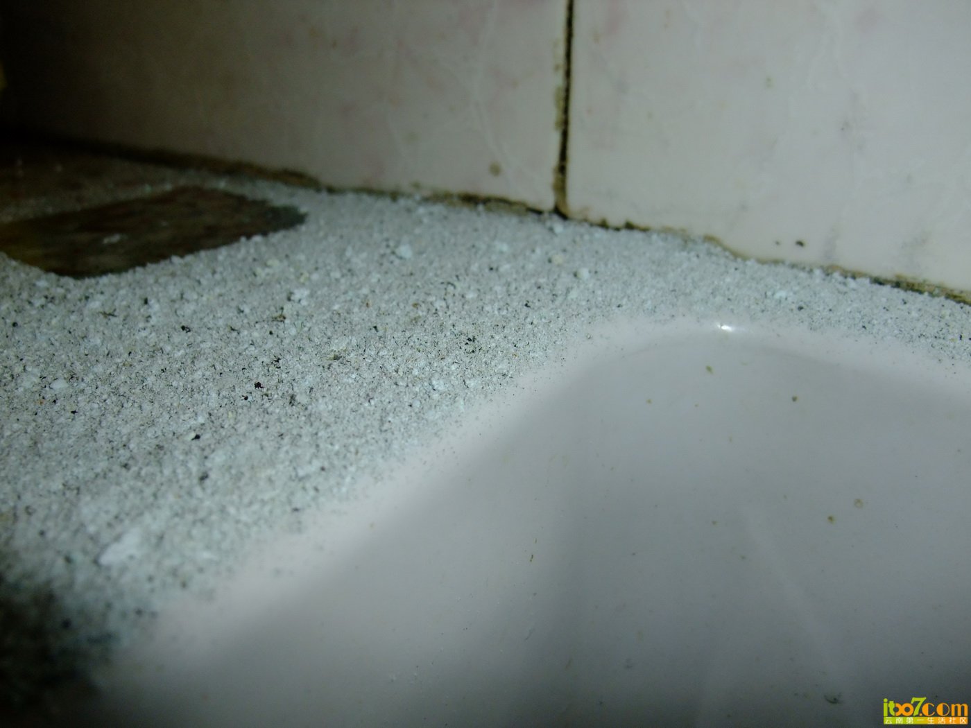 DSCF8139.JPG