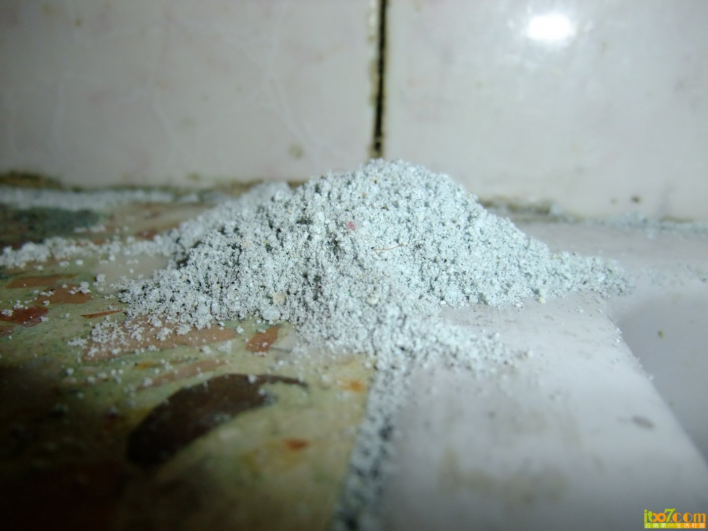 DSCF8140.JPG