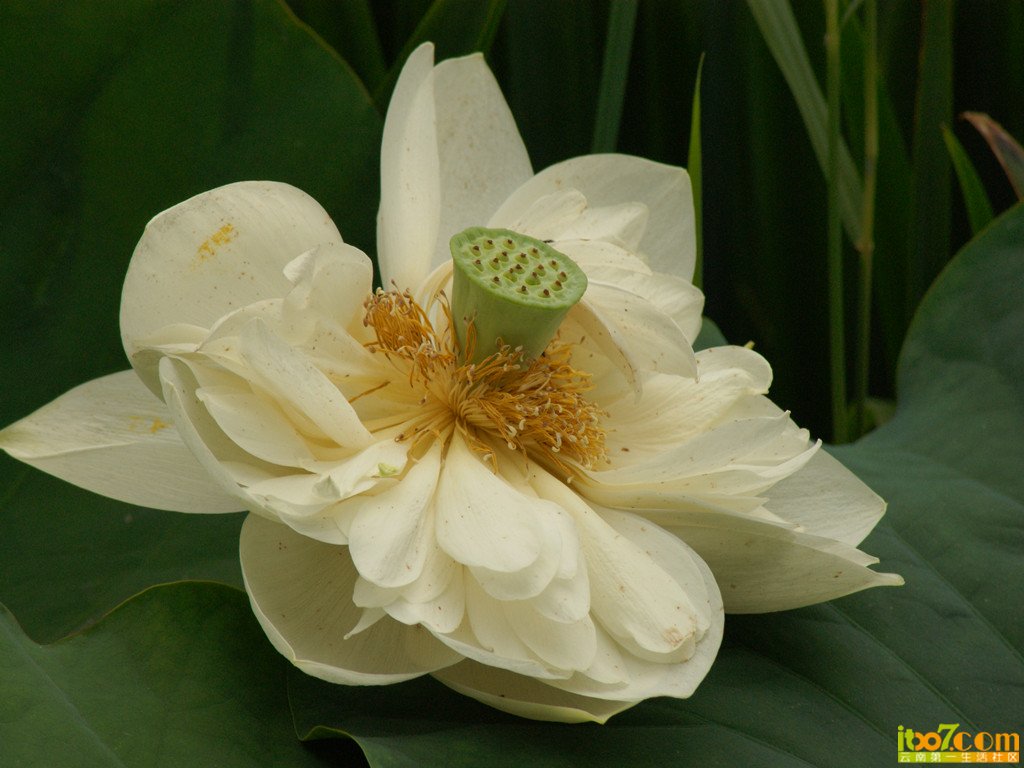 DSC01316.jpg
