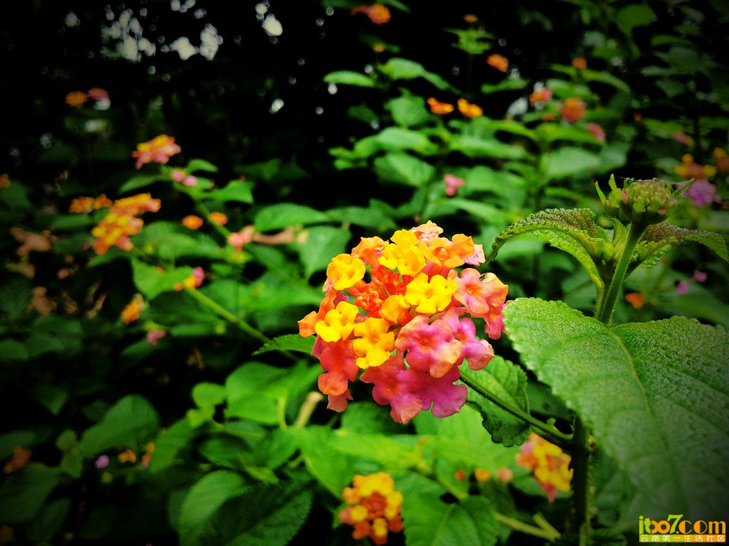C360_2012-06-02-11-52-40.jpg