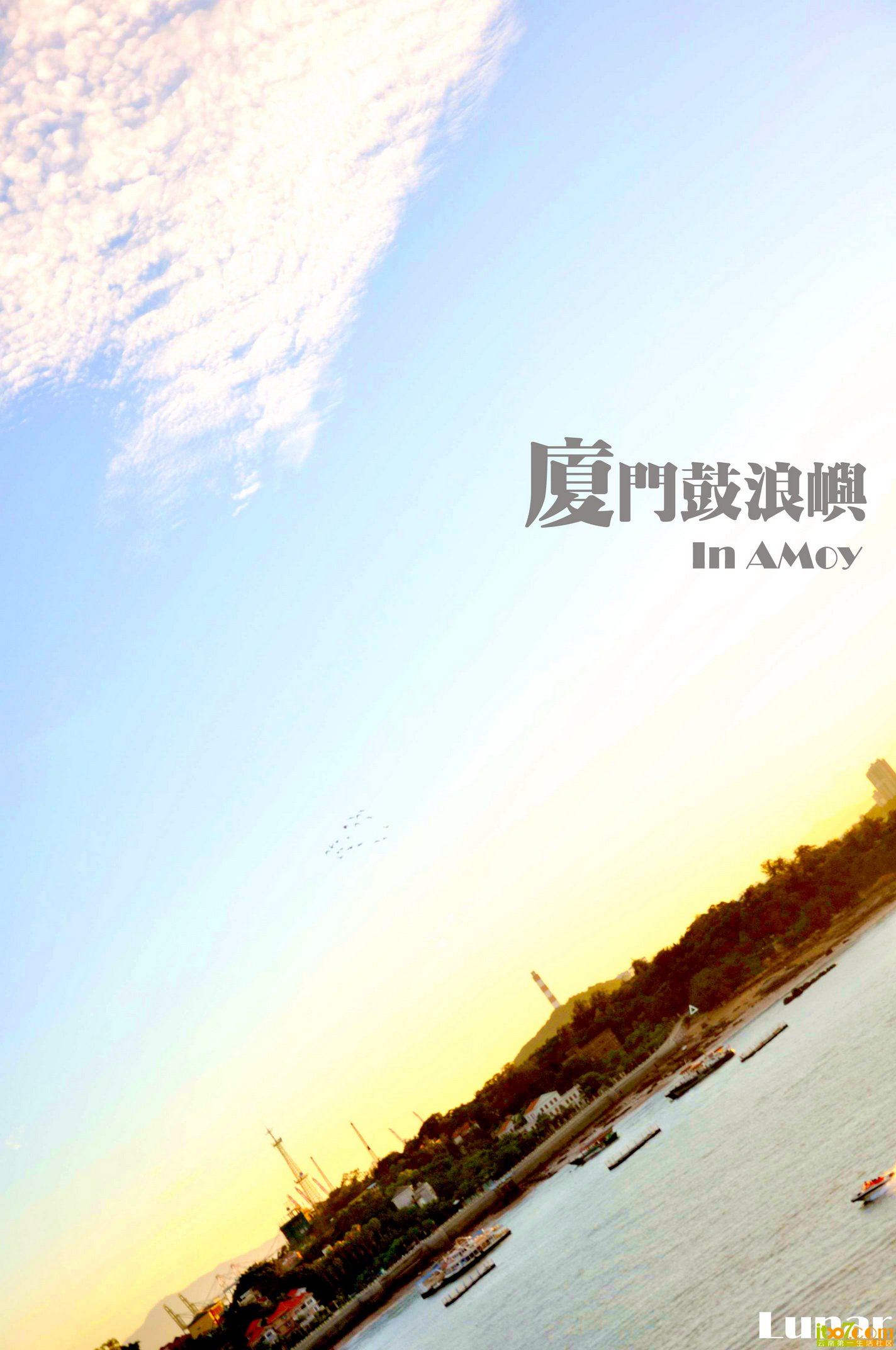 DSC_8587_p_调整大小.jpg