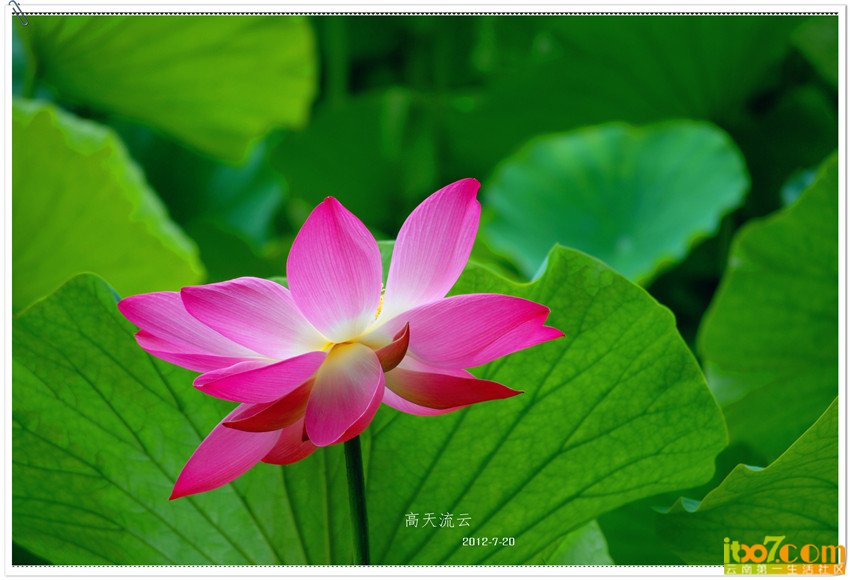 DSC_0014_副本_副本_副本.jpg