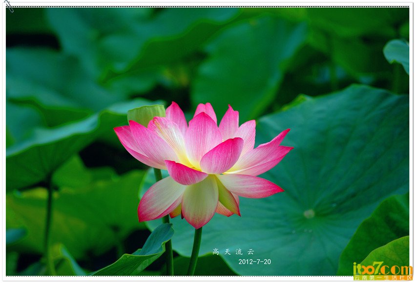 DSC_0048_副本_副本_副本.jpg