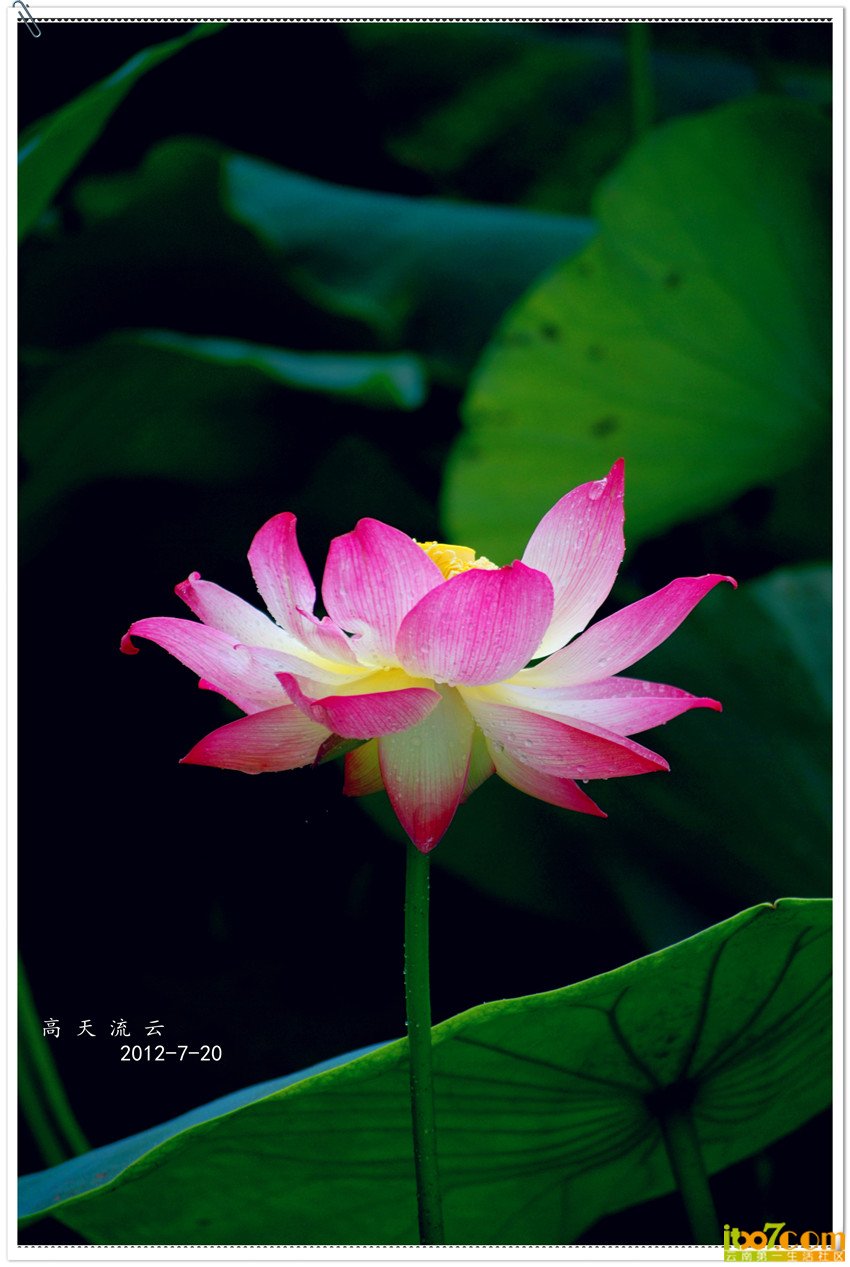 DSC_0072_副本_副本_副本.jpg