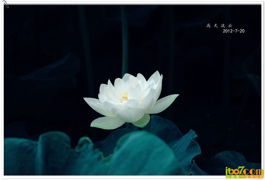 DSC_0137_副本_副本_副本.jpg
