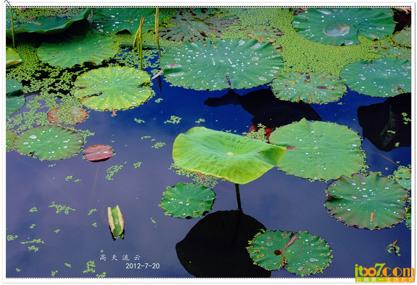 DSC_0153_副本_副本_副本.jpg