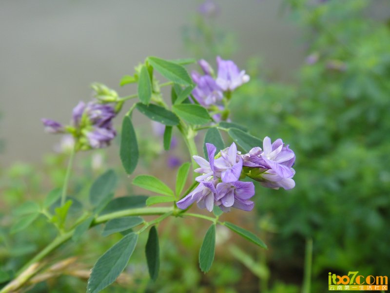 nEO_IMG_DSC04023.jpg