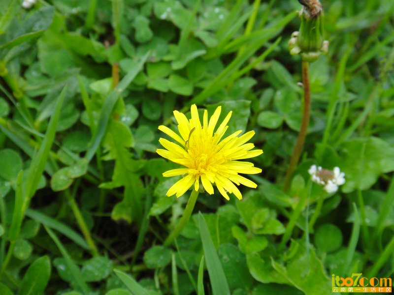 nEO_IMG_DSC04024.jpg