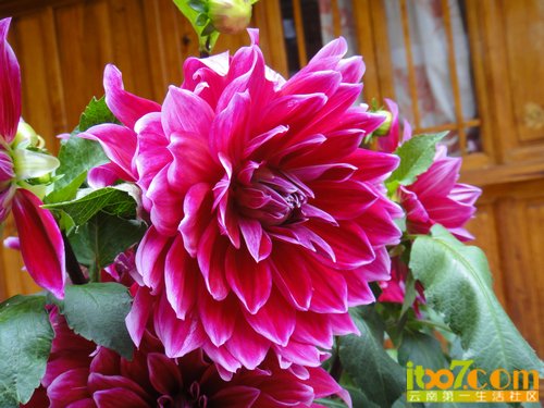 nEO_IMG_DSC04129.jpg