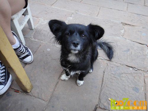 nEO_IMG_DSC04393.jpg