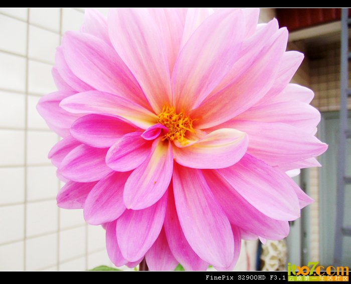 DSCF9086.jpg