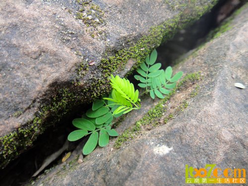 nEO_IMG_DSC04499.jpg