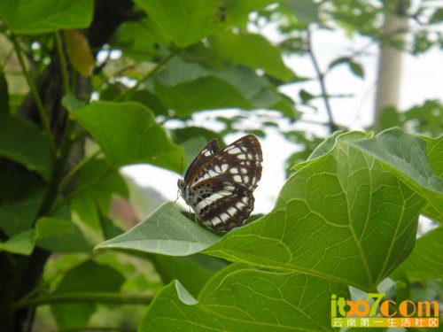 nEO_IMG_DSC04504.jpg
