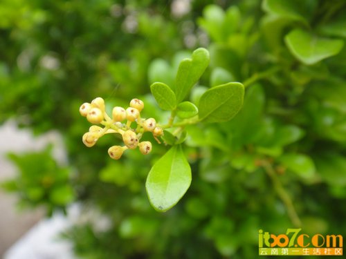 nEO_IMG_DSC04531.jpg