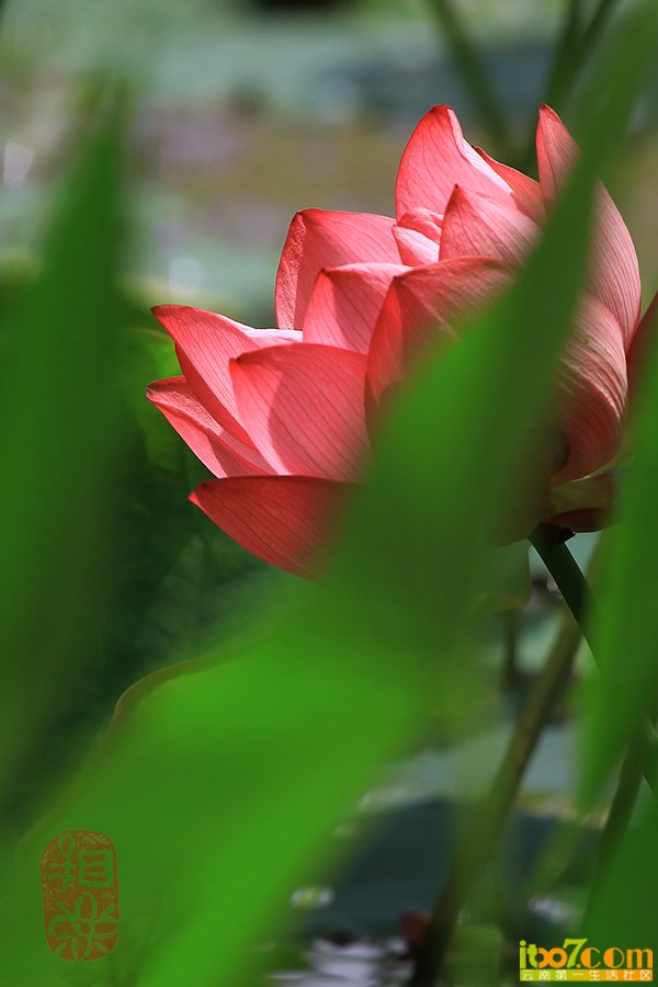 IMG_9996.JPG