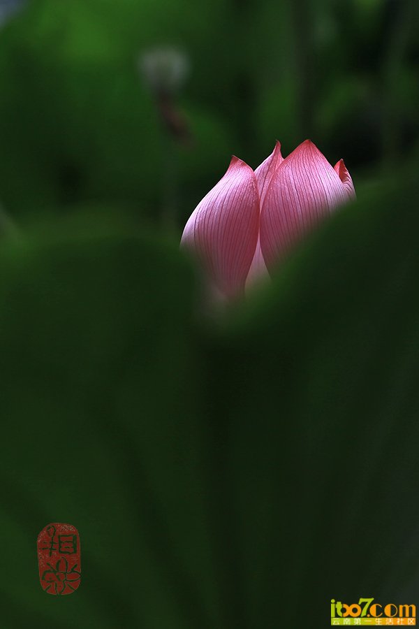 IMG0026.jpg