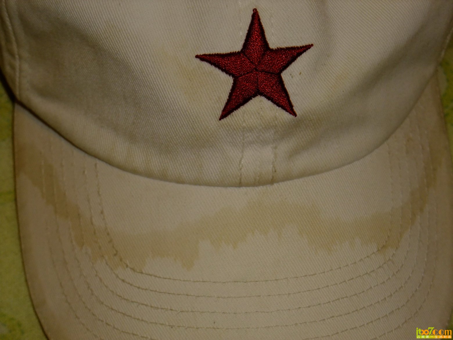 DSCF8211.jpg