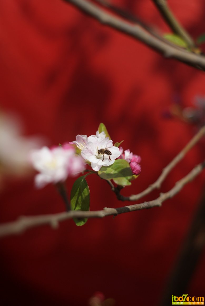 DSC01049_调整大小.JPG