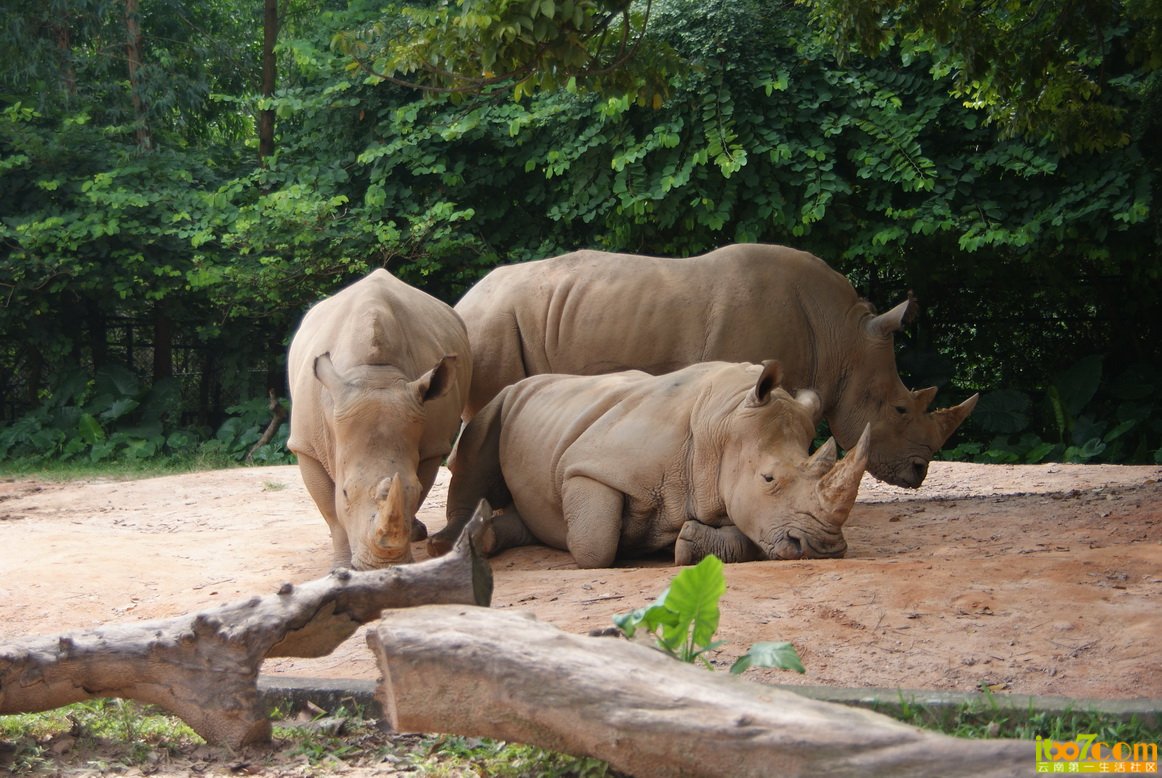 DSC04468_调整大小.JPG