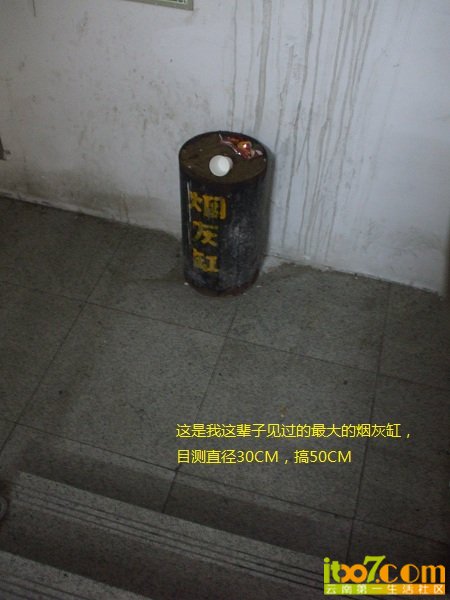 DSCF0314.JPG