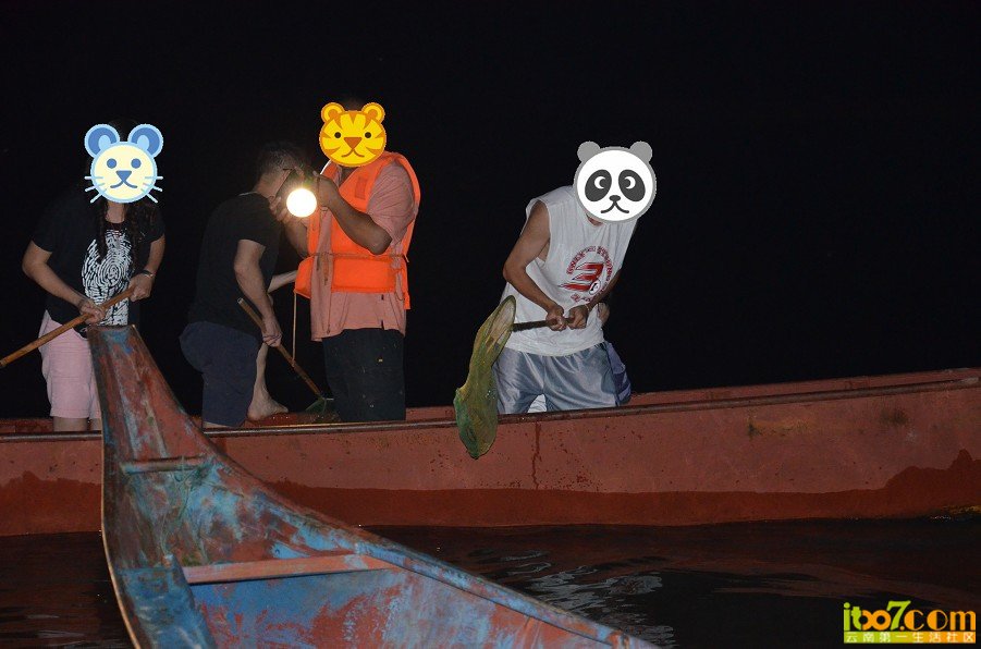 16.jpg