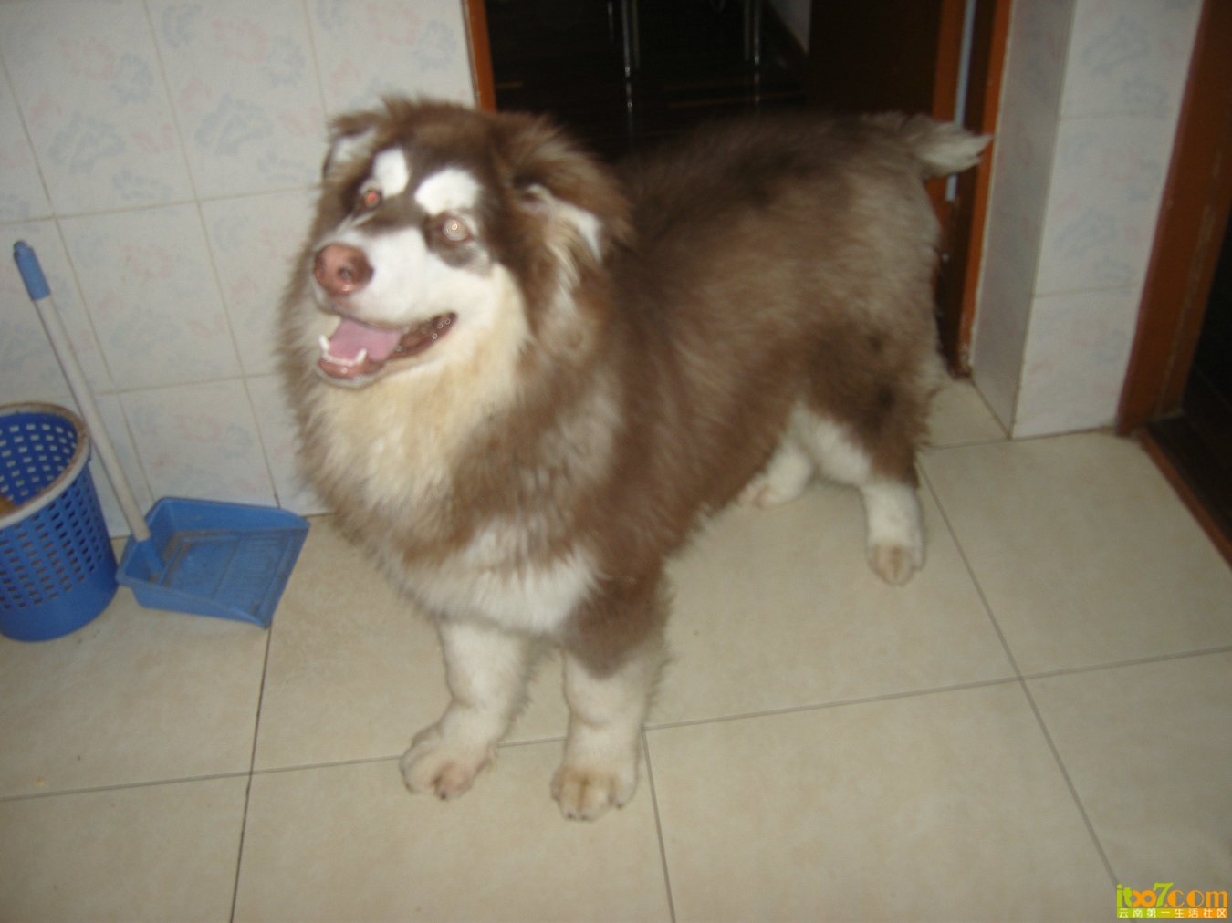 SNV88559.JPG
