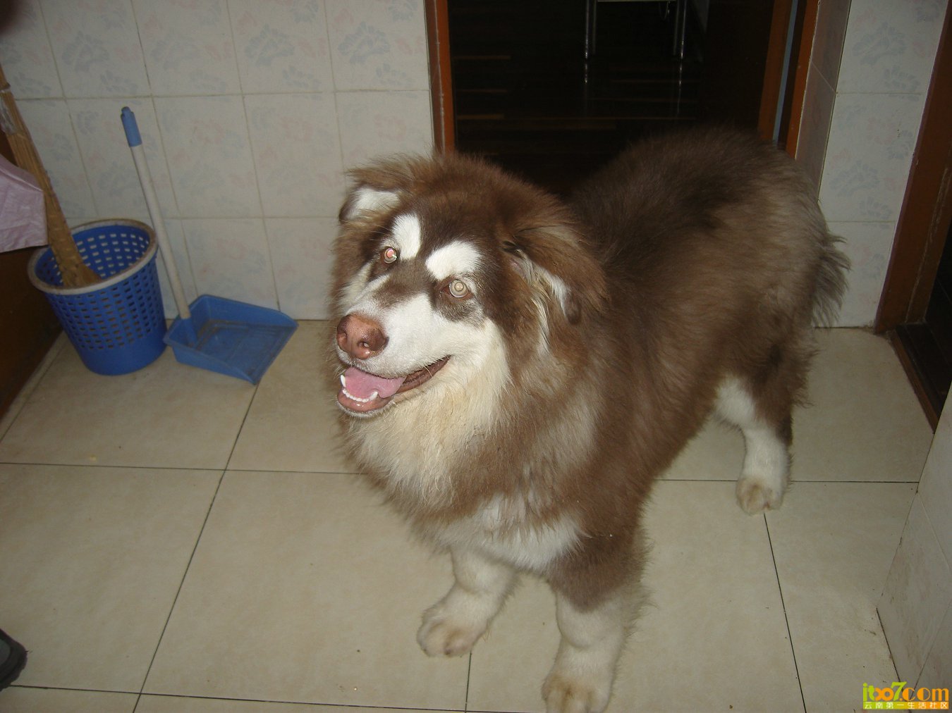 SNV88565.JPG