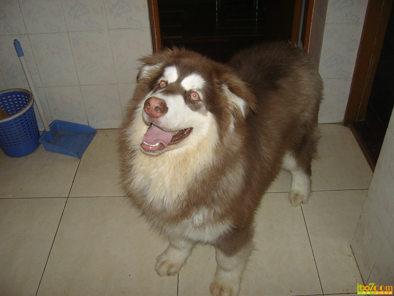 SNV88566.JPG