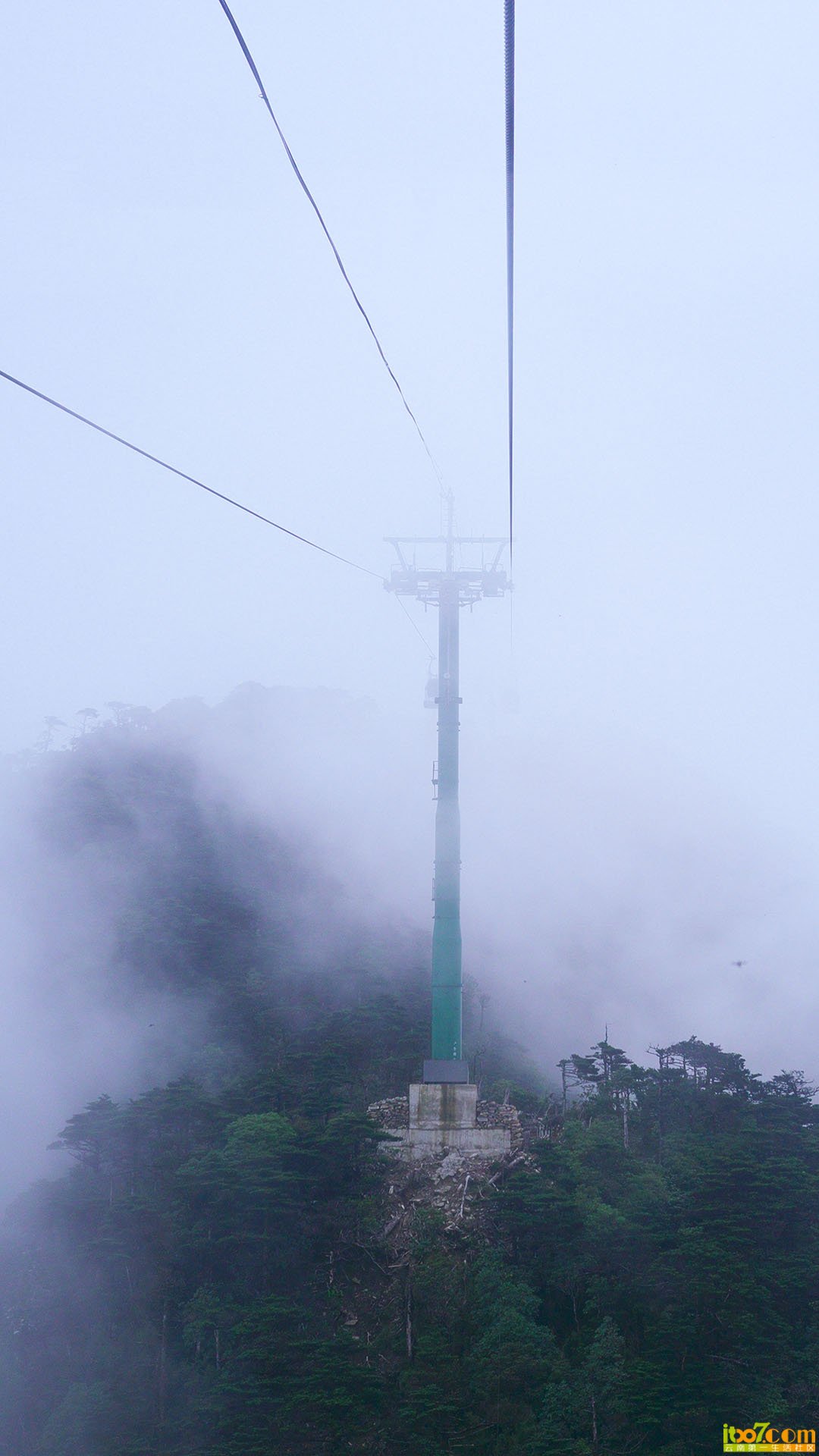 P1010321.jpg
