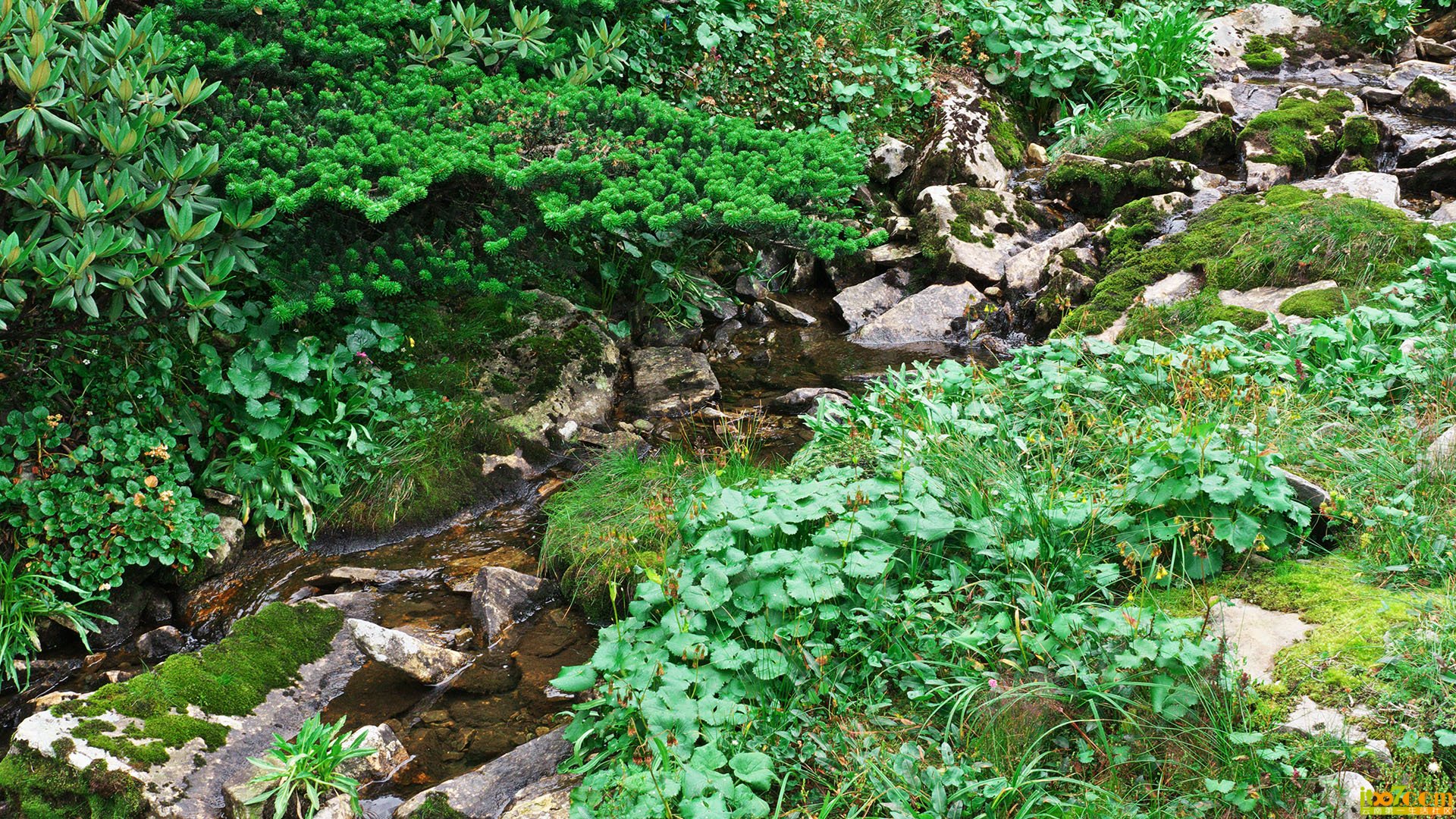 P1010363.jpg