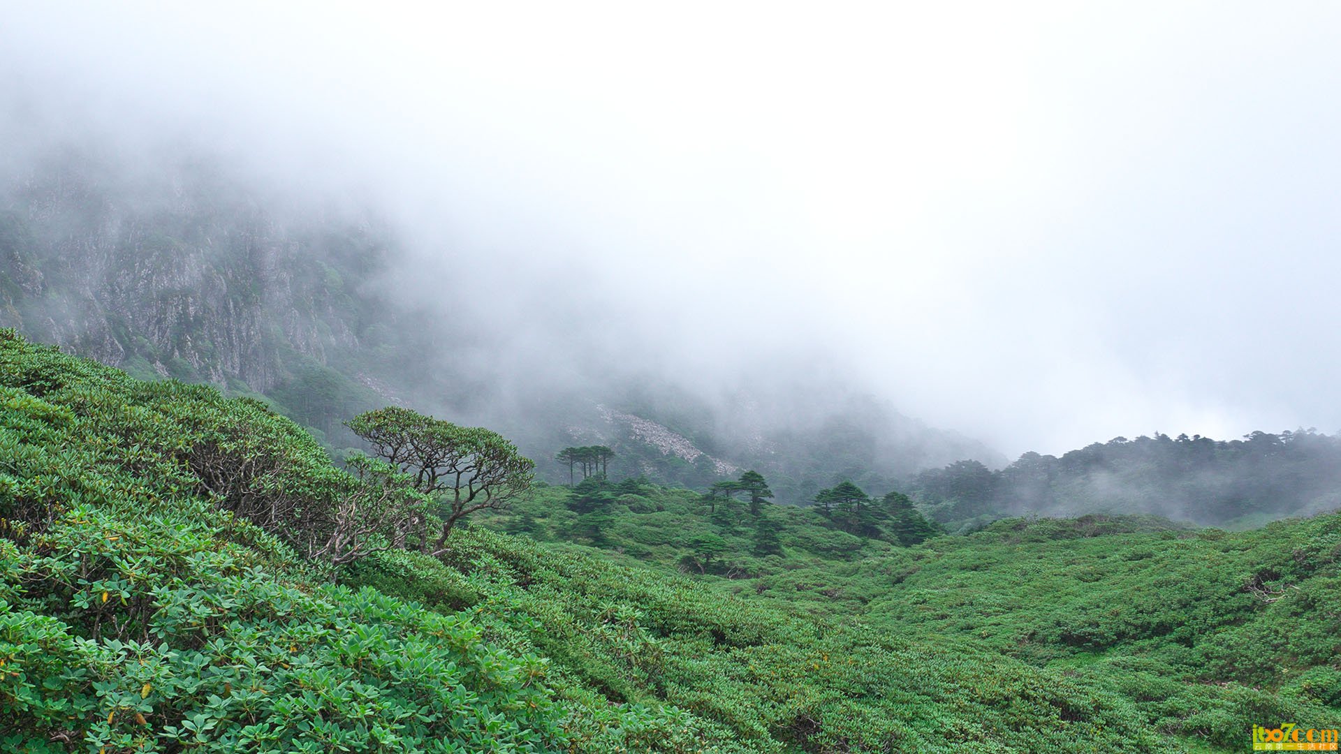 P1010377.jpg